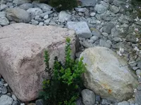 Réalisation de E. Erny Tiefbau- und Umgebungsarbeiten AG - 6