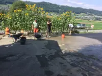 Réalisation de BAUGESCHÄFT Werren GmbH - 2