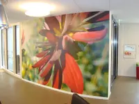 Réalisation de Malerei Wülser & Partner GmbH - 9