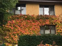 Réalisation de Malergeschäft König AG - 12