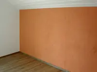 Réalisation de Chat Lamala Peinture Sàrl - 2
