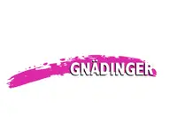 Réalisation de Gnädinger Malerwerkstatt AG - 1