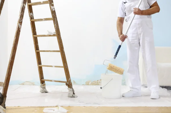 Logo De Nuzzo Maurice Peinture