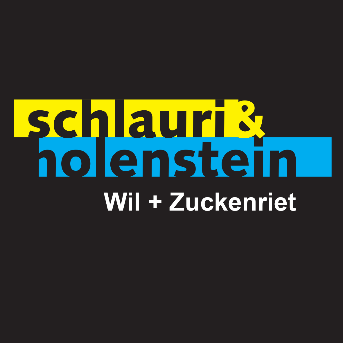 Logo Schlauri + Holenstein AG